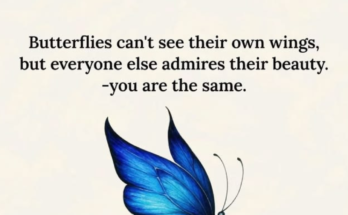 Butterfly Quotes