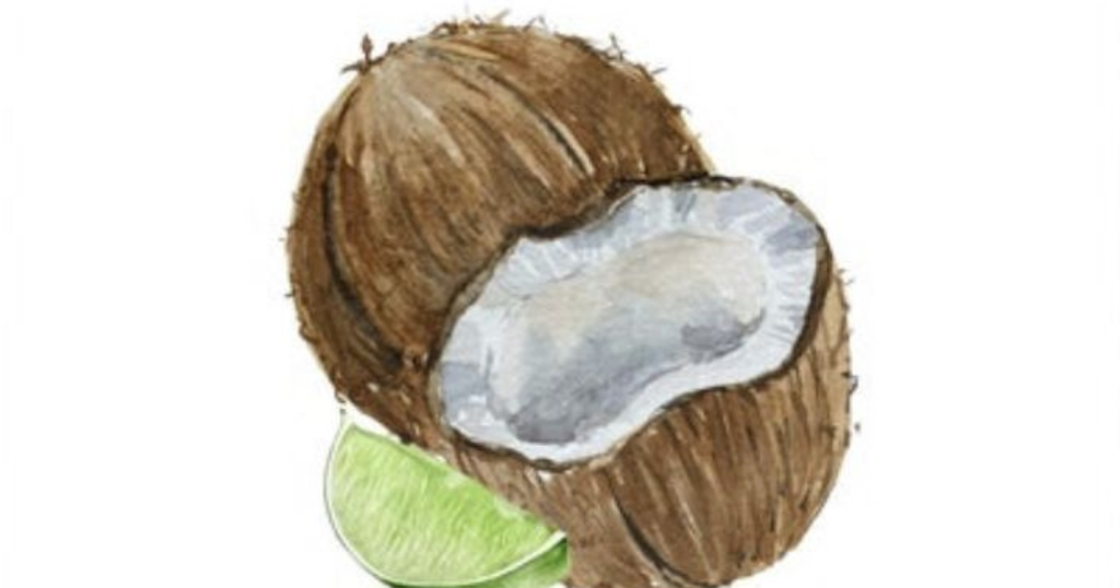 Coconut Quotes