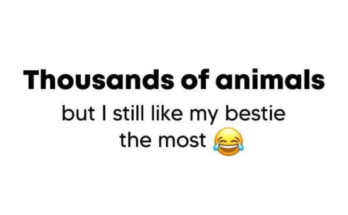 Crazy Friends Captions for Instagram