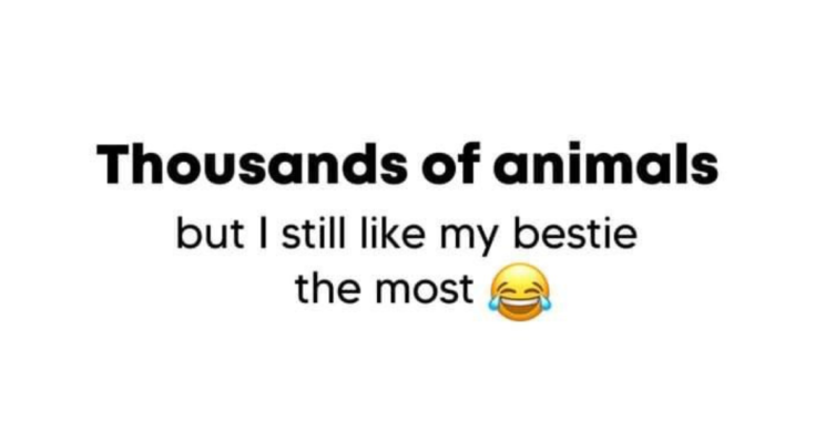 Crazy Friends Captions for Instagram