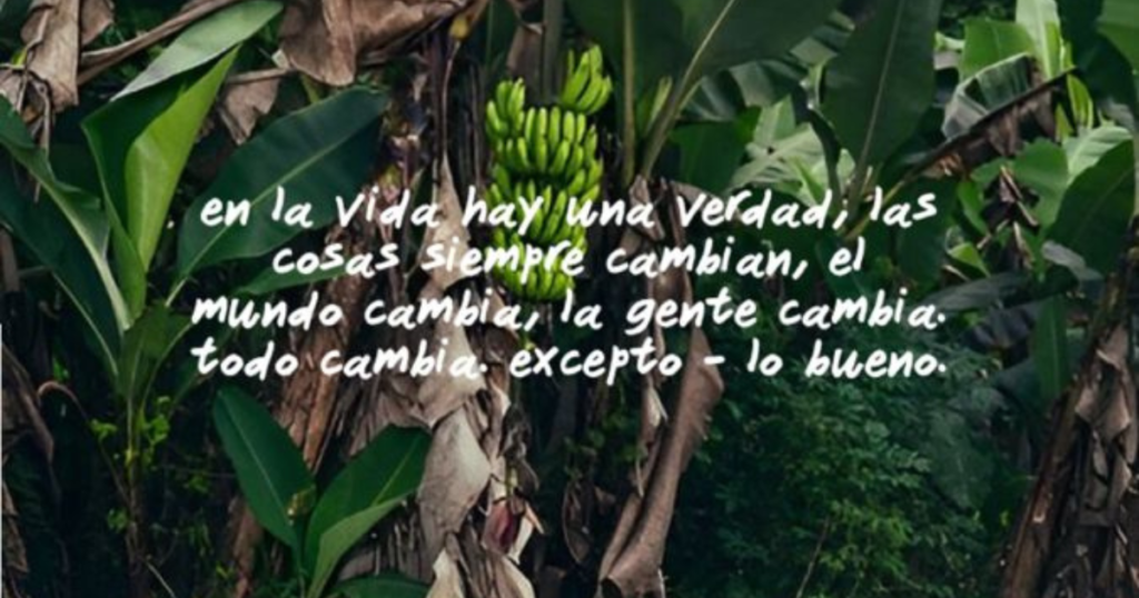 Bad Bunny's Quotes