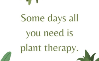 Gardening Captions