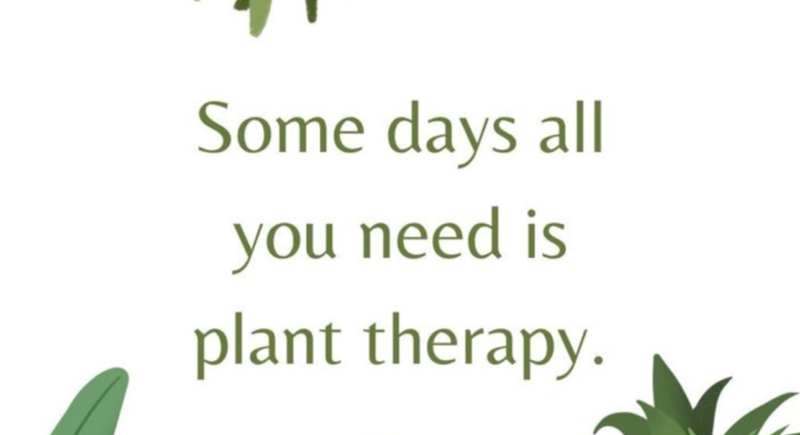 Gardening Captions