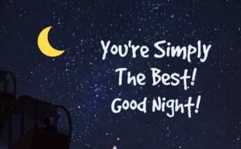 Good Night Quotes