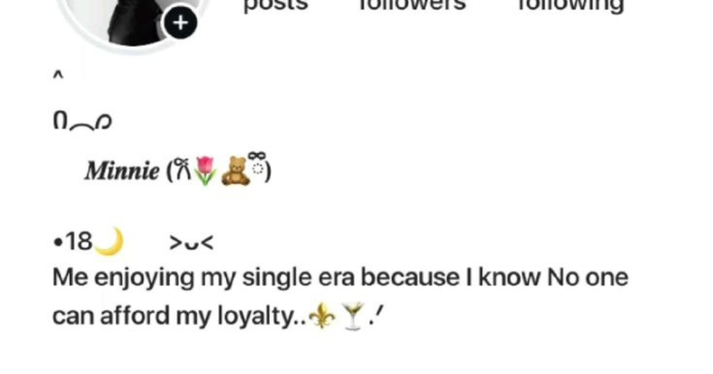 Soft Instagram Bio for Girl