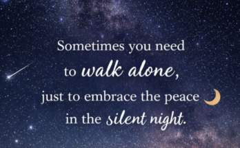 Night Walk Quotes